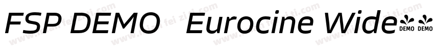 FSP DEMO   Eurocine Wide字体转换